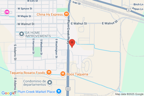 Advance Auto Parts