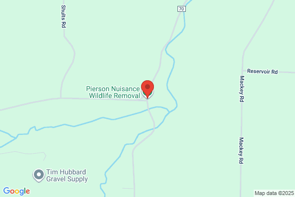 Wildlife Nuisance Trap & Transport Specialist