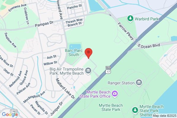 Palmetto Pets Grooming