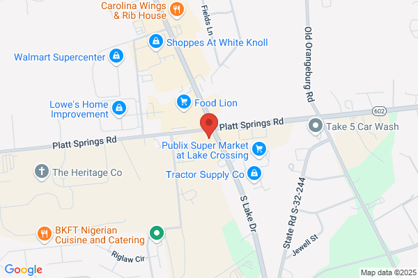 AutoZone Auto Parts