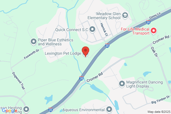 Lexington Pet Lodge