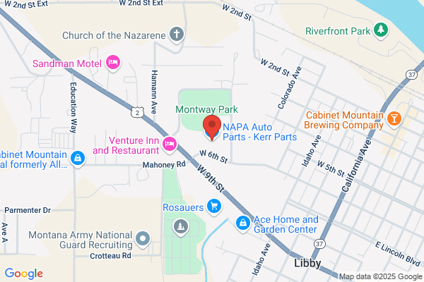 Napa Auto & Truck Parts