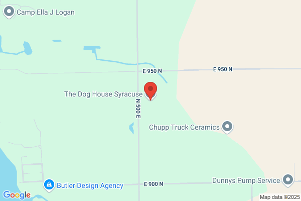 Dog House the