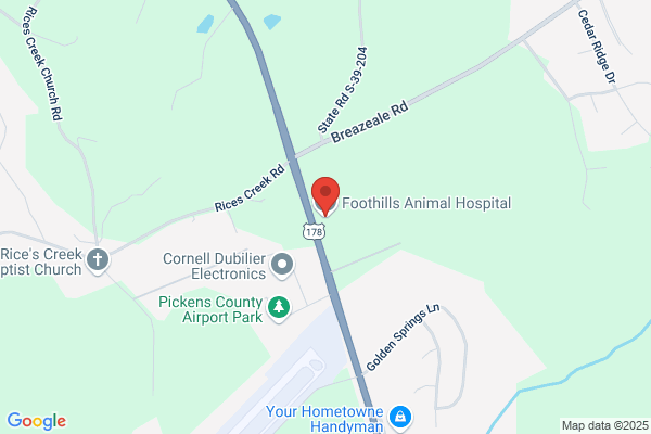 Foothills Animal Hospital