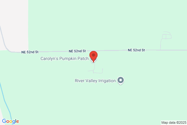 Pumpkin Patch the