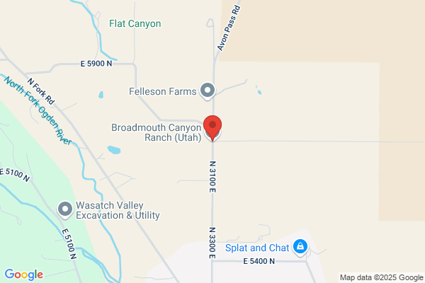 Broadmouth Canyon Ranch