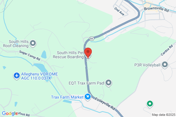 South Hills Pet Resort