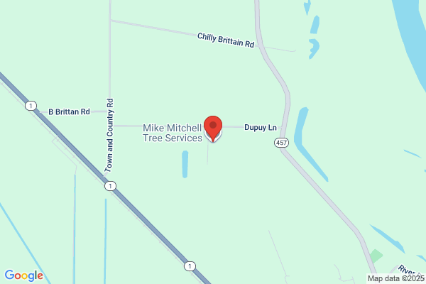 Mike Mitchell Tree Service