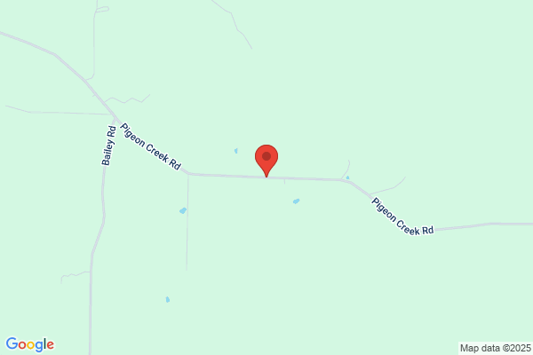 Pigeon Creek Salvage