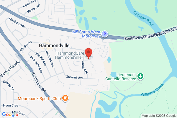 Hammondville Chevron