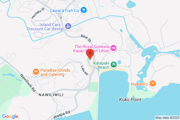 Care Hawaii Inc