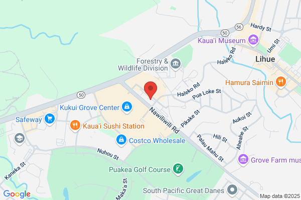 Haruki Craig R DDS Inc