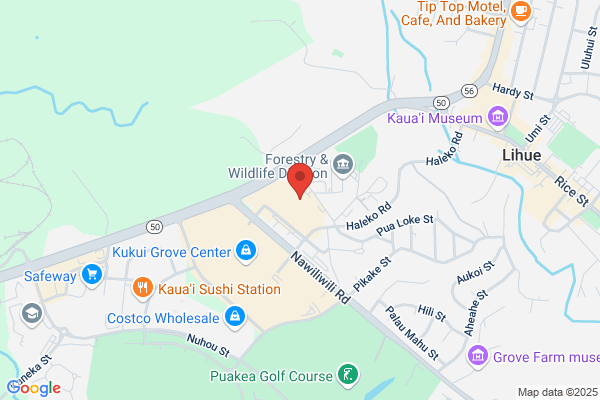 The Specific Chiropractic Centers - Kaua'i