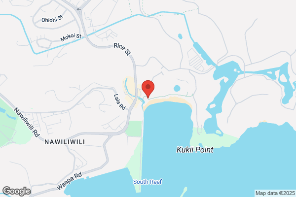 Kauai Beach Boys