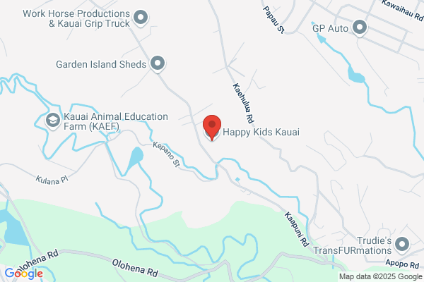 Kauai Lighting Service Inc