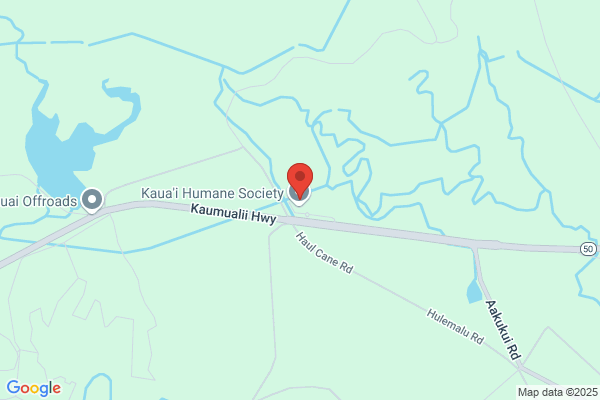 Kauai Humane Society Thrift Shop