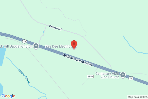Pee Dee Electric
