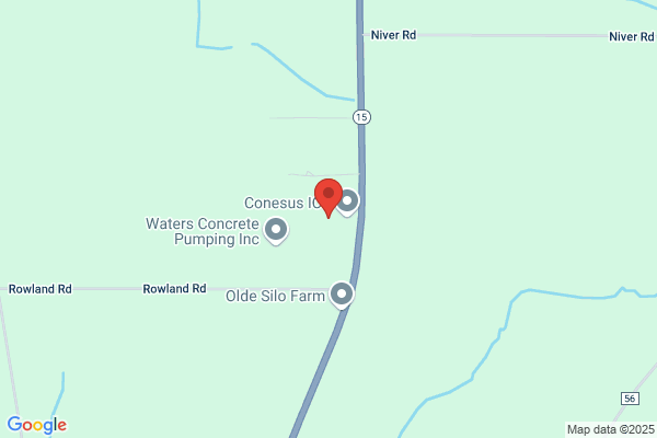 Conesus Associates Inc