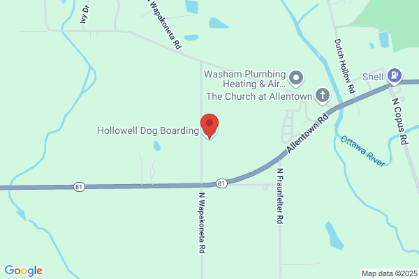 Hollowell Dog Training