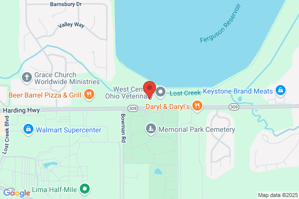 Lost Creek Chiropractic and Wellness