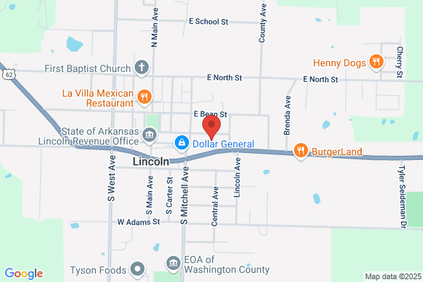 Napa Auto Parts