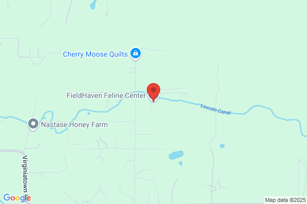 Fieldhaven Feline Rescue