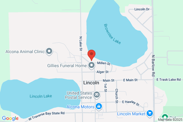 Alcona Area Land Survey