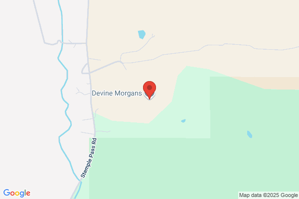 Devine Morgans