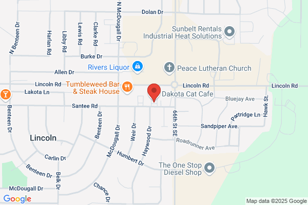 Dj's Pizza & Lounge