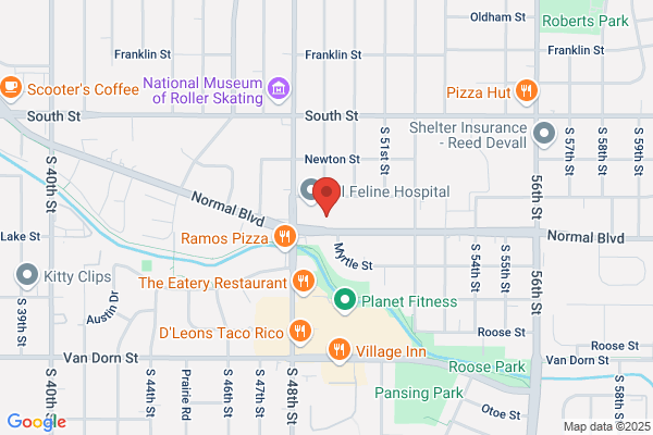 Cedar Creek Dental Arts Inc
