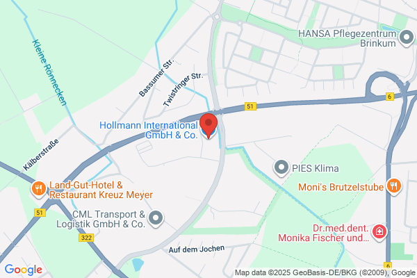 Hollamon Motors