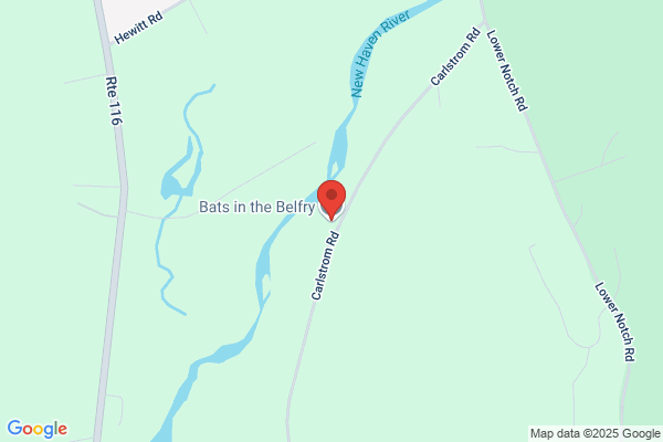 Bats in the Belfry LLC