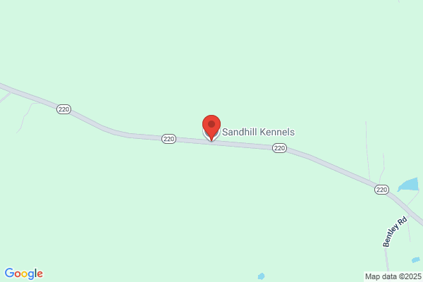 Sandhill Kennels