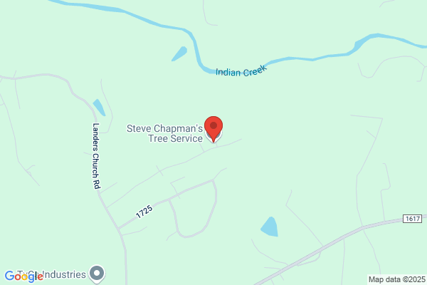 Steve Chapman's Tree Service