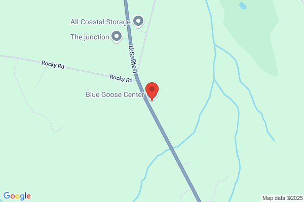 Blue Goose Center
