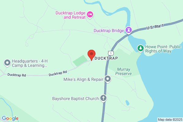Duck Trap Decoys