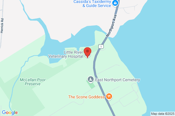 Little River Veterinary Hospital