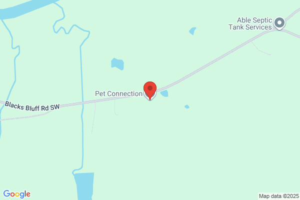 Pet Connection the