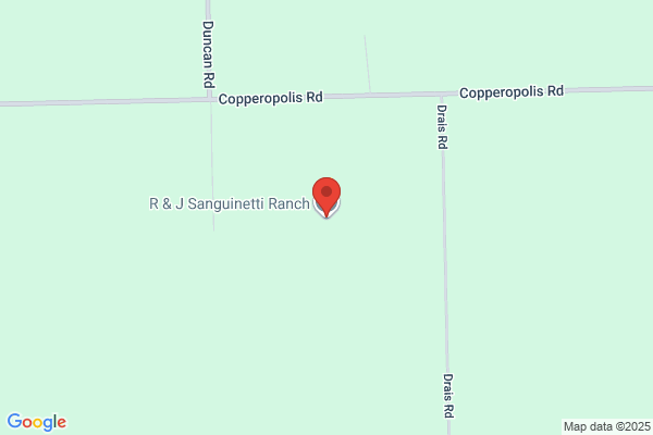 J & R Sanguinetti Farms