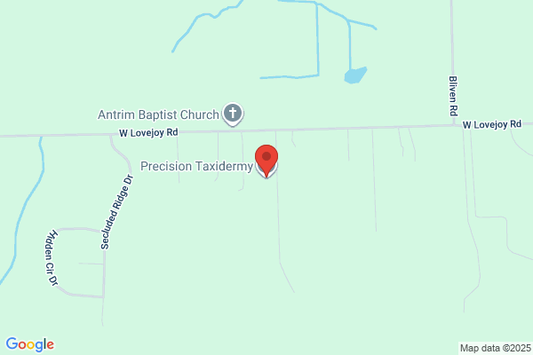 Bear Cove Precision Taxidermy