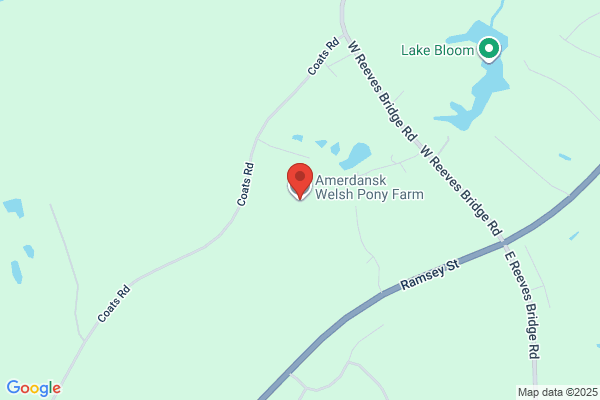 Amerdansk Welsh Pony Farm