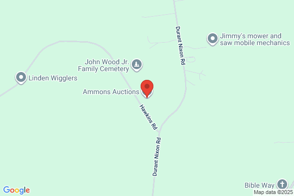 Ammons Auctions