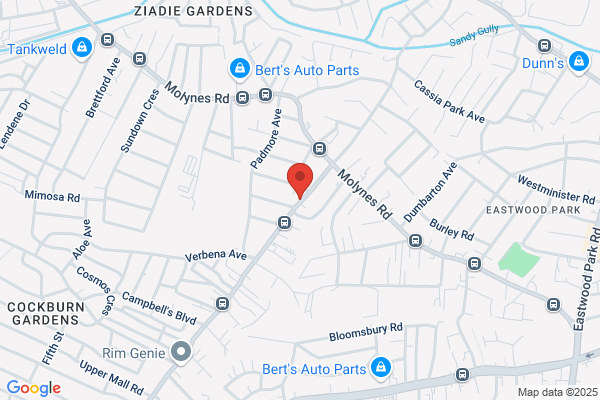Sheddy's Auto Parts