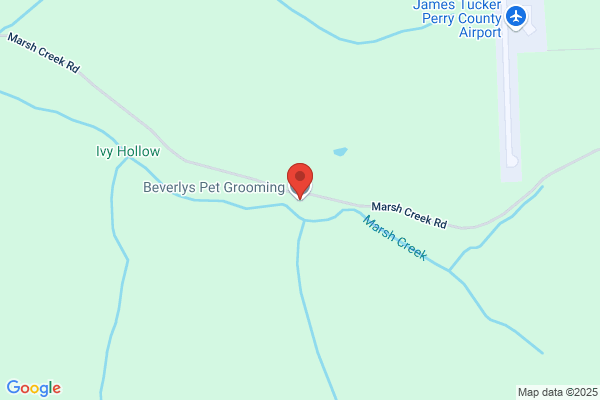 Beverly's Pet Grooming