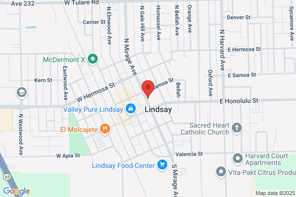 Lindsay City of, Building Department