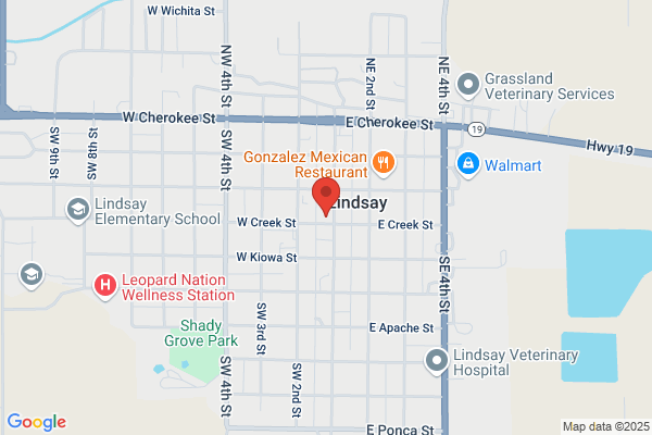 Fire Departments, Lindsay