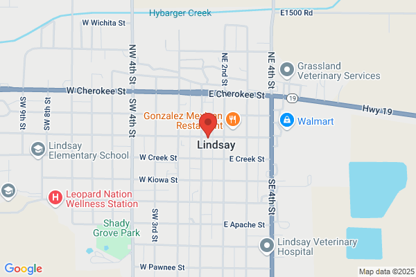 Lindsay Vision Center PLLC