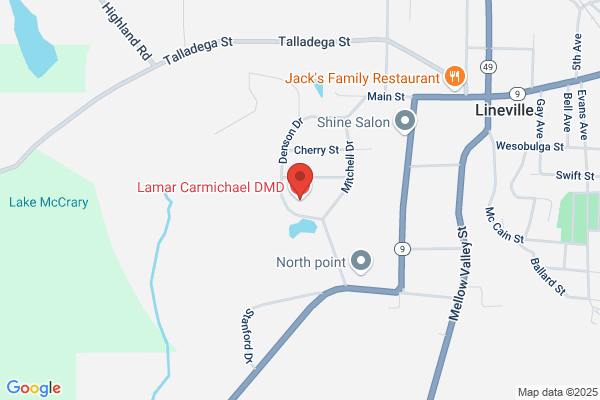 Lamar Carmichael DMD