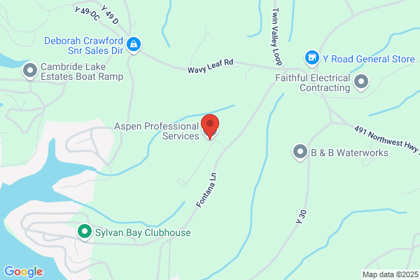 Aspen Professional Services