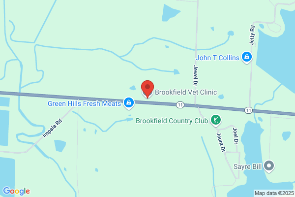 Brookfield Veterinary Clinic